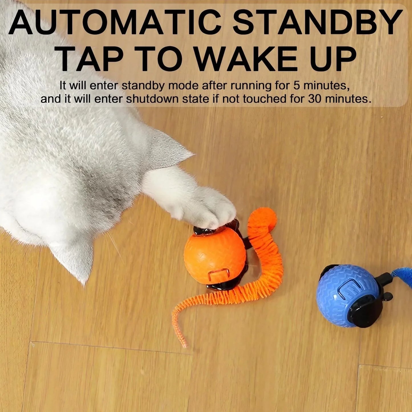 Smart Cat Ball – 360° LED Toy with Auto Avoid