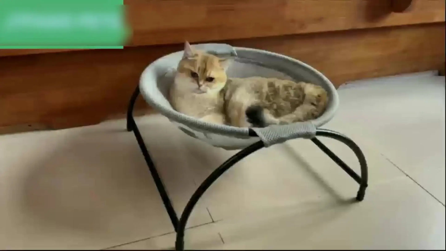 Cat Bed Pet Hammock Bed Cat Sleeping Bed Breathable