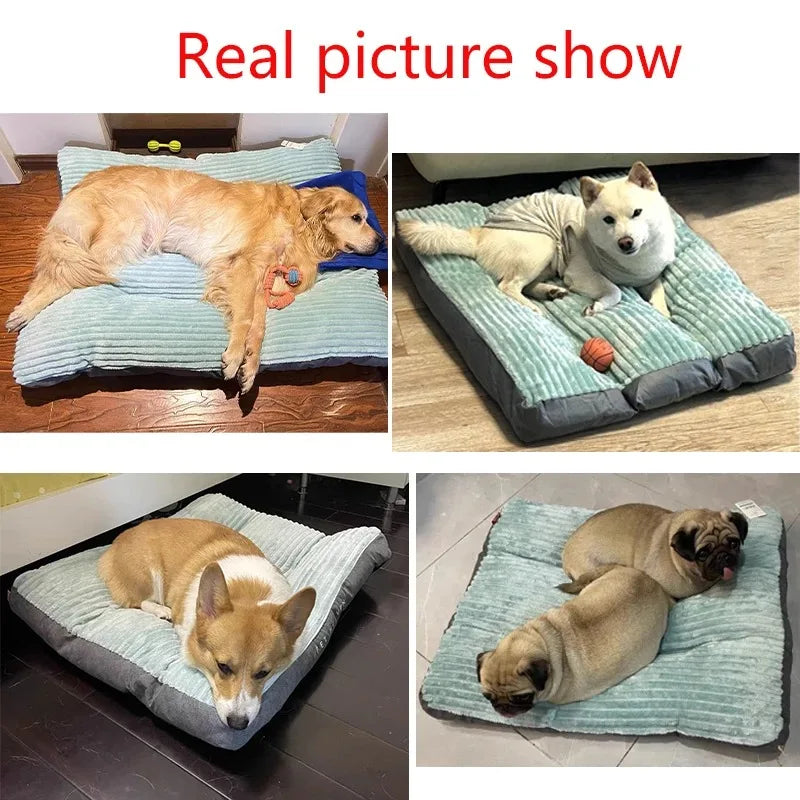 Dogs Beds Dog Halloween Sofa Warm Pet Winter Mat
