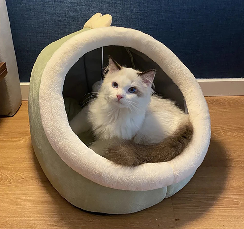 Deep Sleep Cat Bed Cartoon Pet Bed Foldable Removable