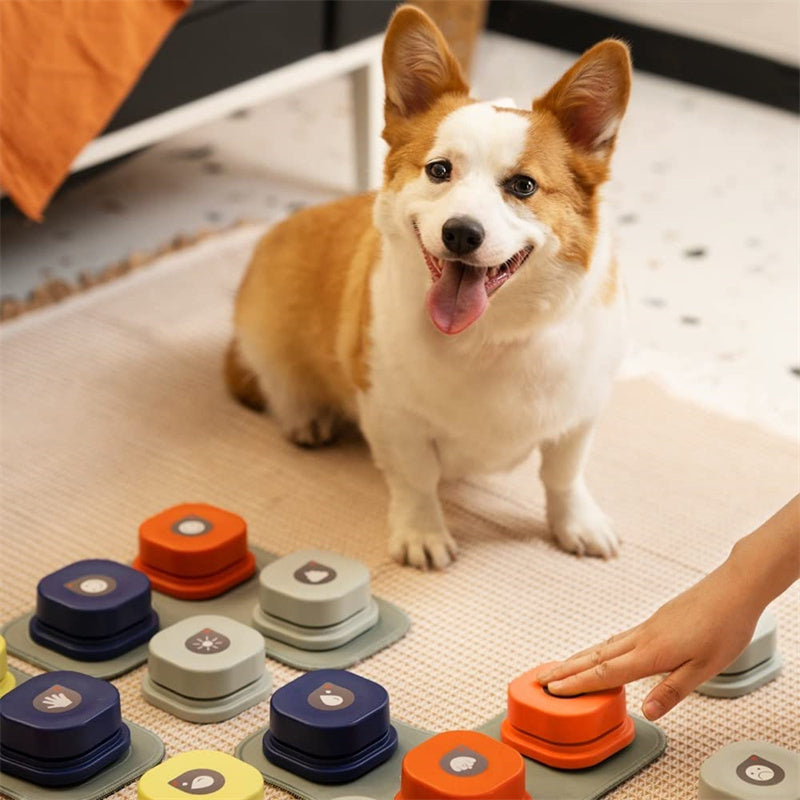pet talking buttons recordable voice communication toy [4 colors]