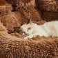 Pet Dog Sofa Beds for Small Dogs Warm Accessories