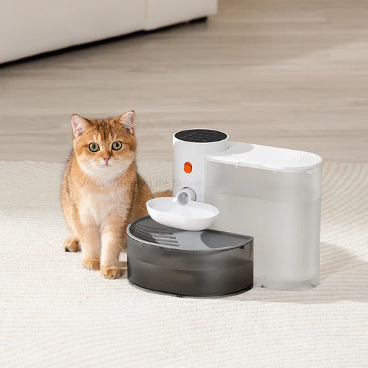 Dispenser Cat Water Fountain Moving Water Unplugged