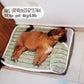 1pc Dog Mat, Four Seasons Universal Kennel, Sleeping Nest