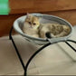 Cat Bed Pet Hammock Bed Cat Sleeping Bed Breathable