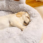 Pet Dog Sofa Beds for Small Dogs Warm Accessories