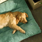 Dogs Beds Dog Halloween Sofa Warm Pet Winter Mat