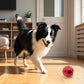 Treat Ball Toy – Puzzle Feeder for Large Dogs