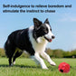 Treat Ball Toy – Puzzle Feeder for Large Dogs