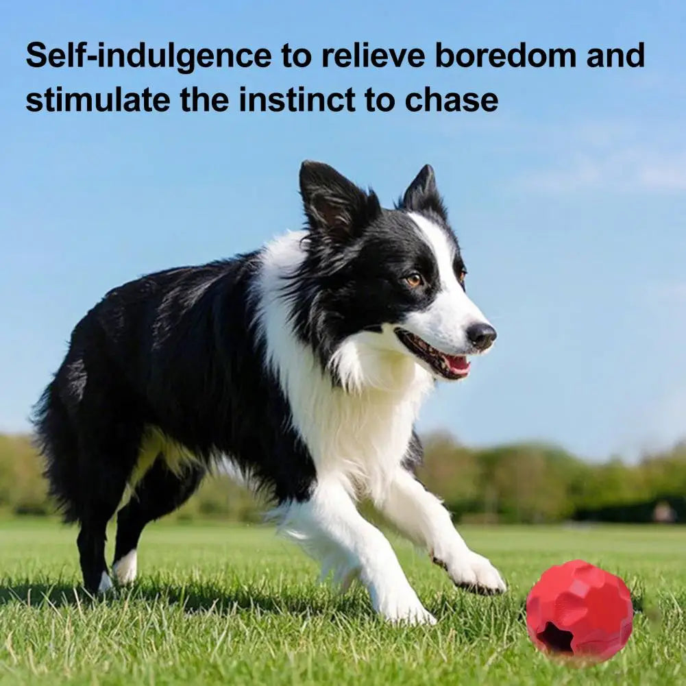Treat Ball Toy – Puzzle Feeder for Large Dogs