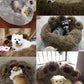 Pet Dog Sofa Beds for Small Dogs Warm Accessories