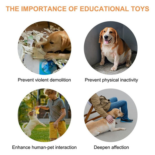 pet talking buttons recordable voice communication toy [4 colors]