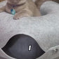 1.mp4